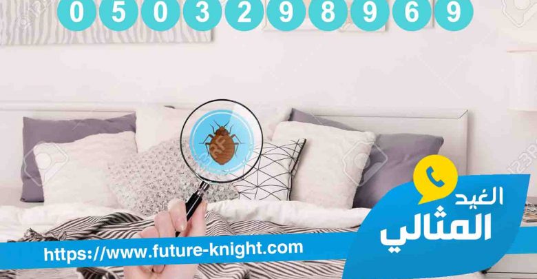 شركة مكافحة حشرات بالخبر -0503298969 الغيد المثالي الاولي في رش المبيدات 1 شركة مكافحة النامس بالدمام والخبر