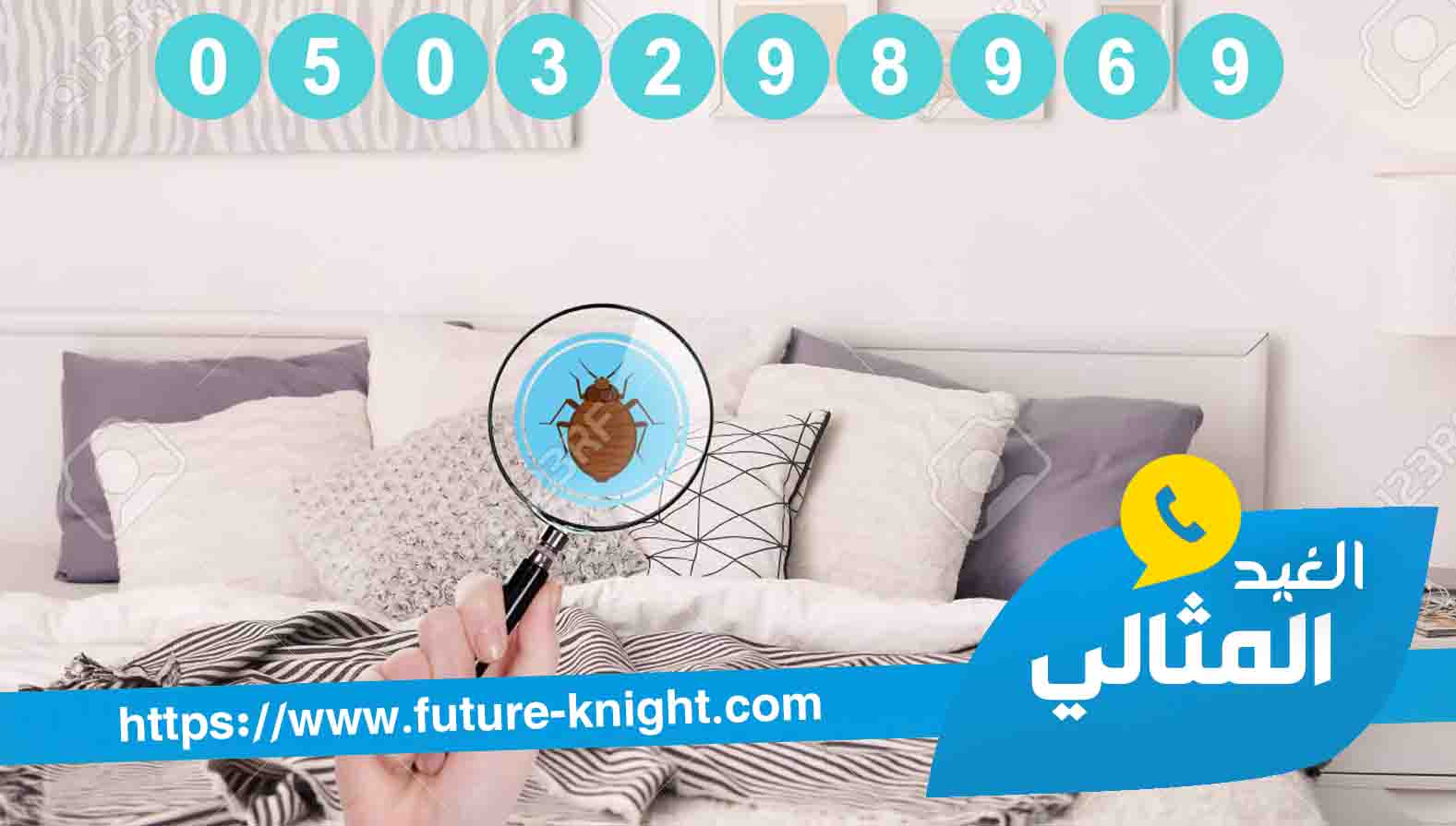 شركة مكافحة النامس بالدمام والخبر شركة مكافحة النامس بالدمام والخبر