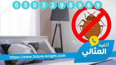 Photo of شركة مكافحة حشرات بالدمام الشركة المتخصصة في القضاء علي الحشرات