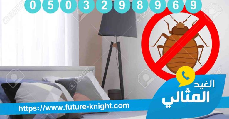 شركة مكافحة حشرات بالدمام الشركة المتخصصة في القضاء علي الحشرات 1 شركة مكافحة حشرات بالجبيل