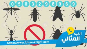 شركة مكافحة حشرات بالخبر -0503298969 الغيد المثالي الاولي في رش المبيدات 3 شركة مكافحة حشرات بالدمام