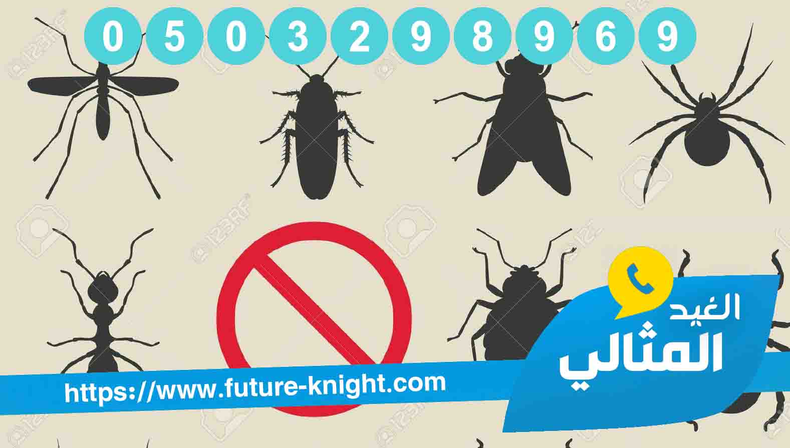 شركة مكافحة حشرات بالجبيل 0503298969 (شركة الغيد المثالي ) في القضاء علي الحشرات 2 شركة مكافحة حشرات بالجبيل