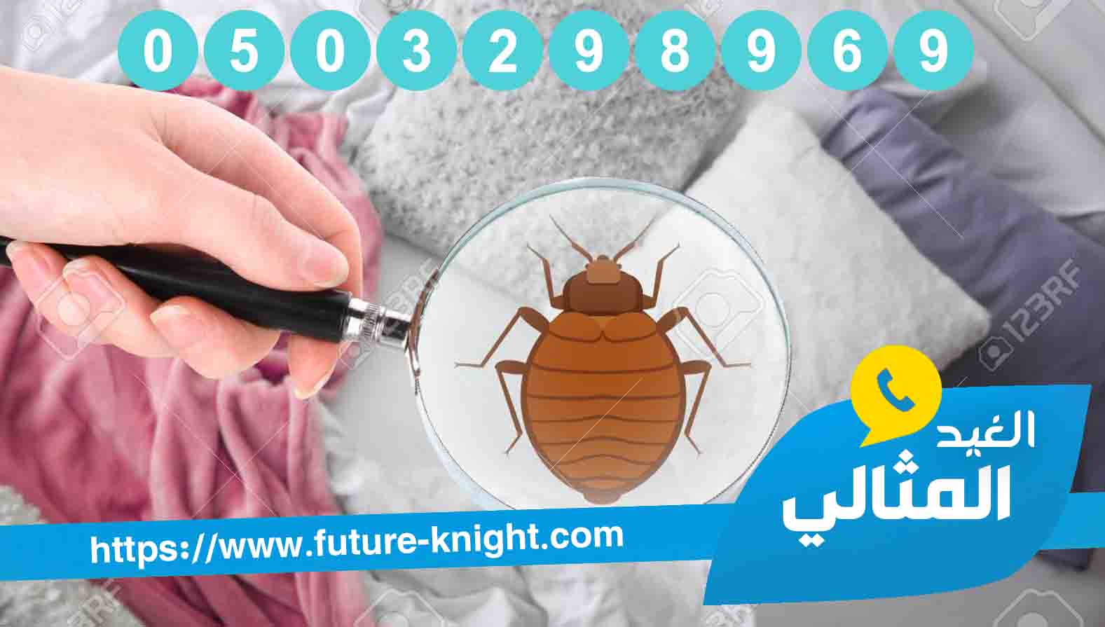 شركة مكافحة حشرات بالدمام