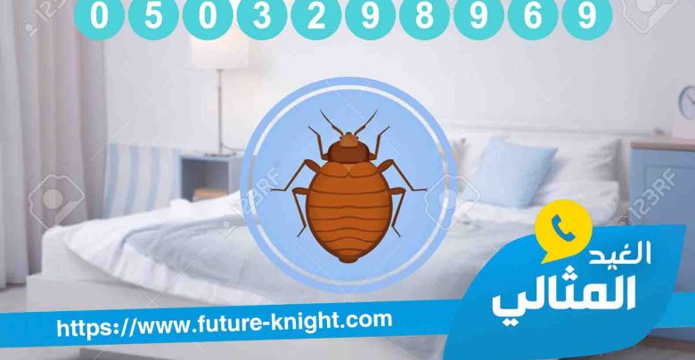 شركة مكافحة حشرات بالجبيل 0503298969 (شركة الغيد المثالي ) في القضاء علي الحشرات 1 شركة مكافحة حشرات بالجبيل