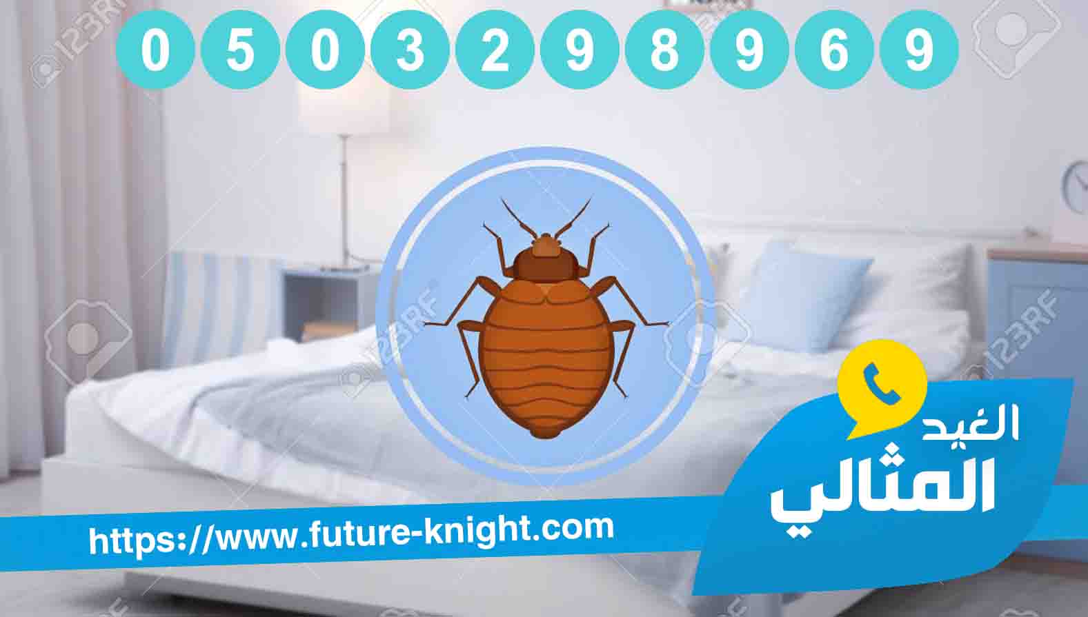 شركة مكافحة حشرات بالجبيل 0503298969 (شركة الغيد المثالي ) في القضاء علي الحشرات 3 شركة مكافحة حشرات بالجبيل