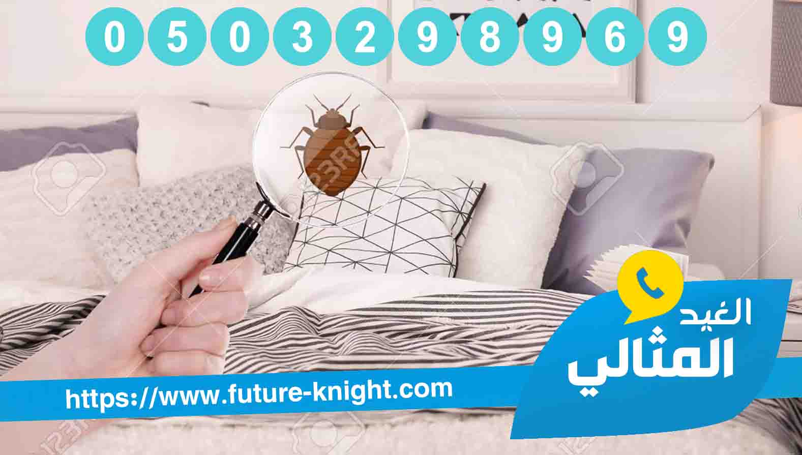 شركة مكافحة حشرات بالقطيف 0503298969 (شركة الغيد المثالي ) الراحة التامة 3 شركة مكافحة حشرات بالقطيف