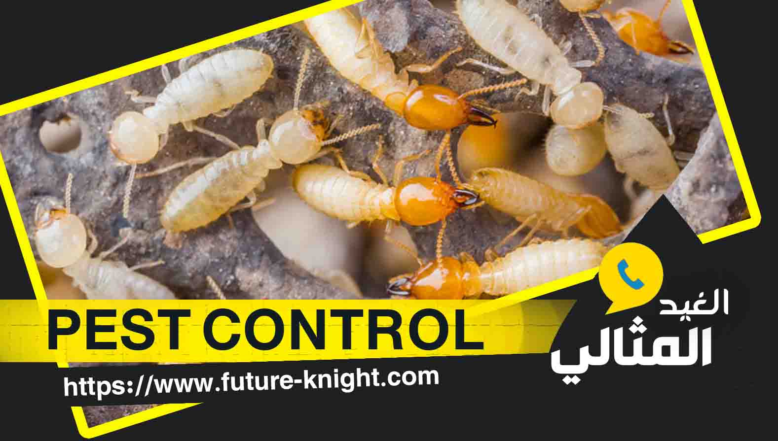 شركة رش حشرات بالدمام 0503298969 الغيد المثالي 2 شركة رش حشرات بالدمام