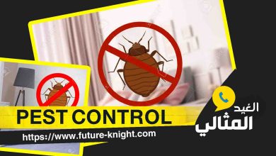 Photo of شركة مكافحة الفئران بالدمام  0503298969 الغيد المثالي