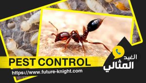 شركة مكافحة النمل الأبيض بالقطيف 0503298969 الغيد المثالي 2 شركة مكافحة النمل الأبيض بالقطيف