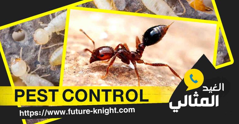شركة رش حشرات بالدمام 0503298969 الغيد المثالي 1 شركة مكافحة النمل الأبيض بالخبر