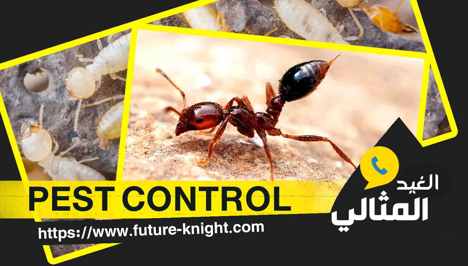 شركة مكافحة النمل الأبيض بالخبر 0503298969 الغيد المثالي 4 شركة مكافحة النمل الأبيض بالخبر